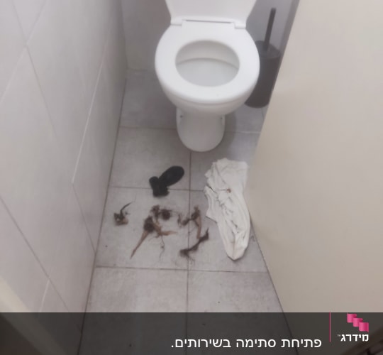 שירותים עם לכלוך על הרצפה ומברשת ניקוי